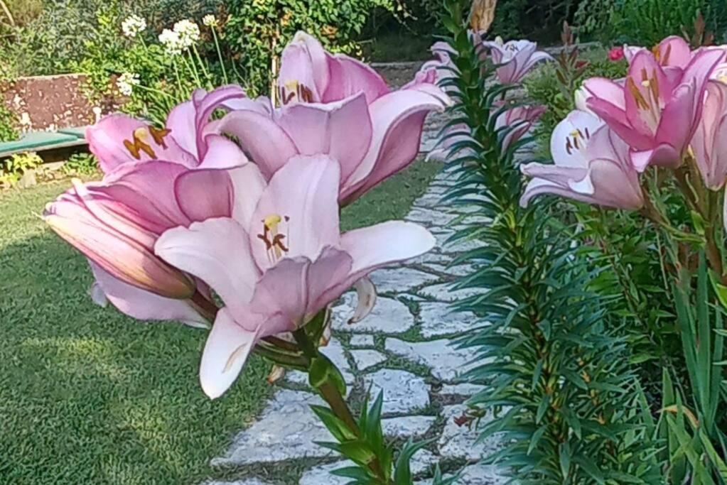 Moradia Na Serra Alcanede Dış mekan fotoğraf