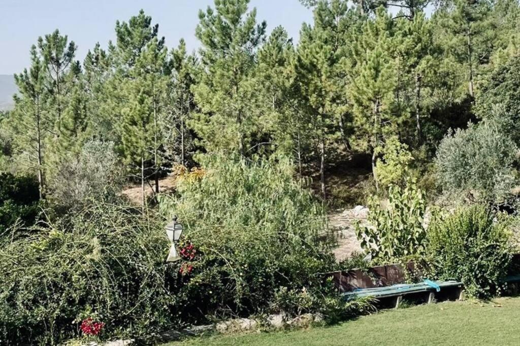 Moradia Na Serra Alcanede Dış mekan fotoğraf