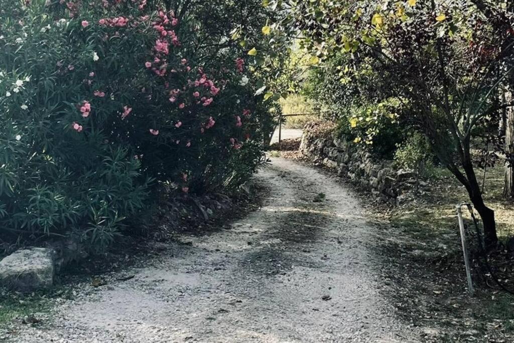 Moradia Na Serra Alcanede Dış mekan fotoğraf